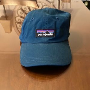 Patagonia dad style hat